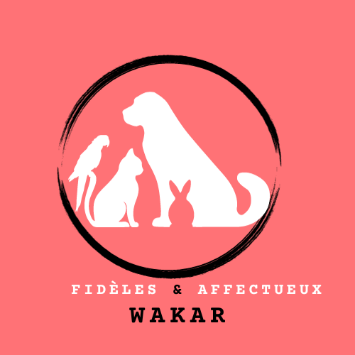 Logo Wakar France