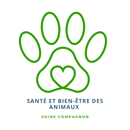 logo blog santecompagnon