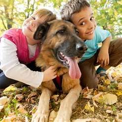 apprentissage de la marche en laisse pour chiot