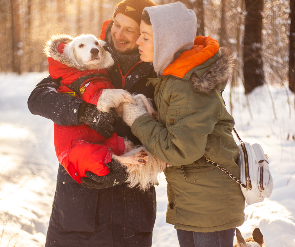 Prendre soin de votre chien cet hiver