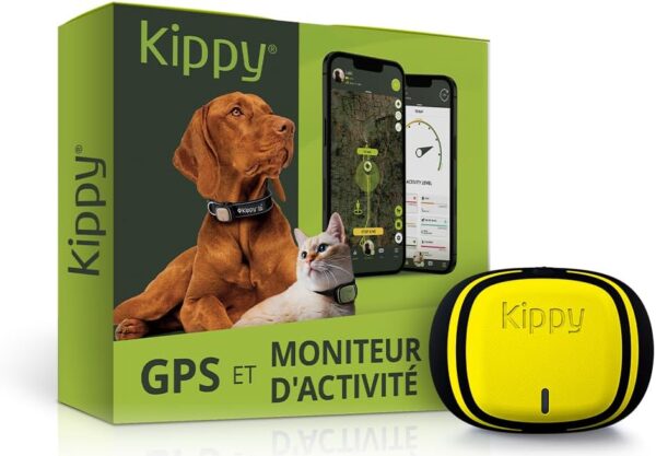 Collier GPS Chat, Chien